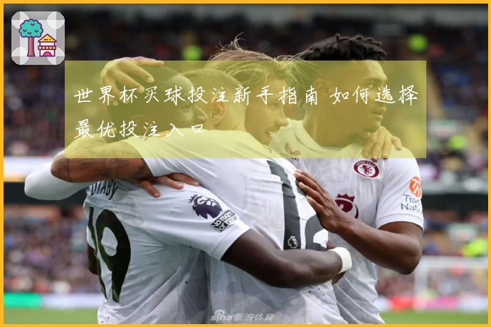 世界杯买球投注新手指南 如何选择最优投注入口