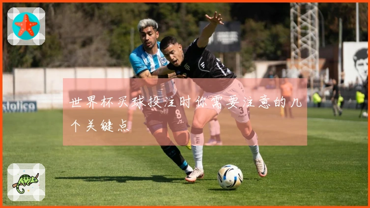 世界杯买球投注时你需要注意的几个关键点
