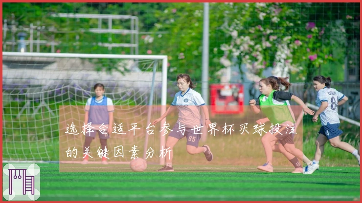 选择合适平台参与世界杯买球投注的关键因素分析