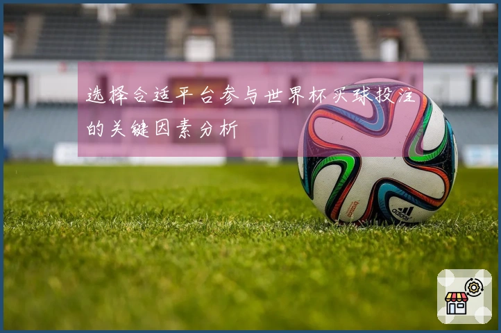 选择合适平台参与世界杯买球投注的关键因素分析