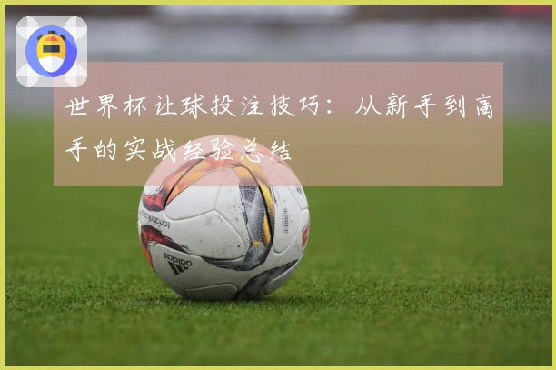 世界杯让球投注技巧：从新手到高手的实战经验总结