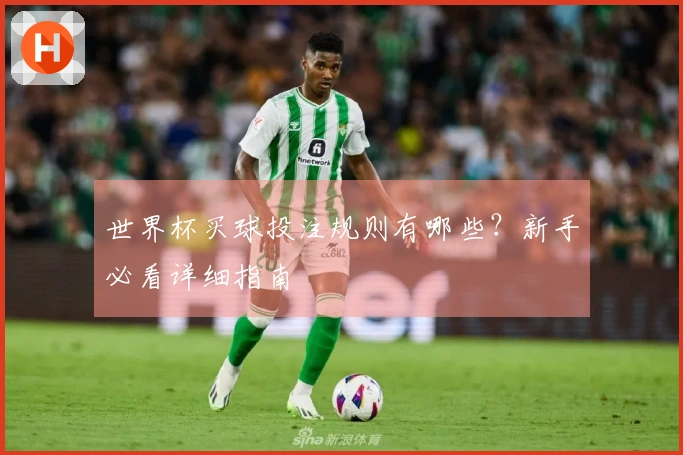 世界杯买球投注规则有哪些？新手必看详细指南