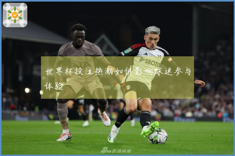 世界杯投注热潮如何影响球迷参与体验